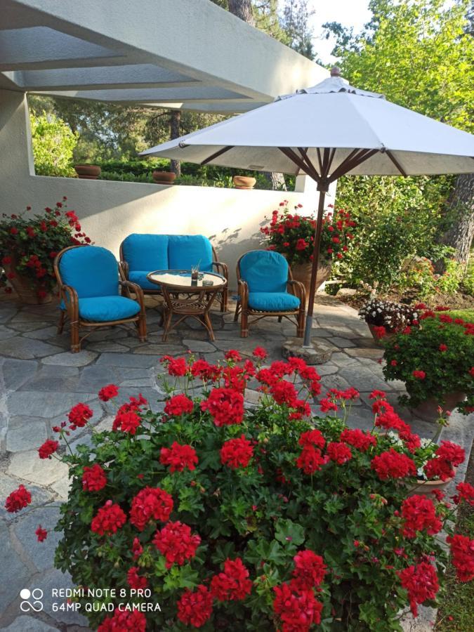 Sani Villa Maria Zewnętrze zdjęcie